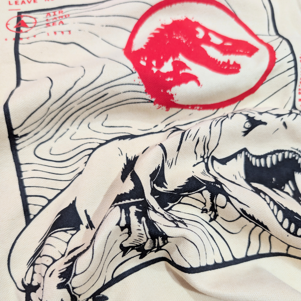 Jurassic World Kids Co-ord Set | Boys T-Shirt & Cargo Jogger – Aka